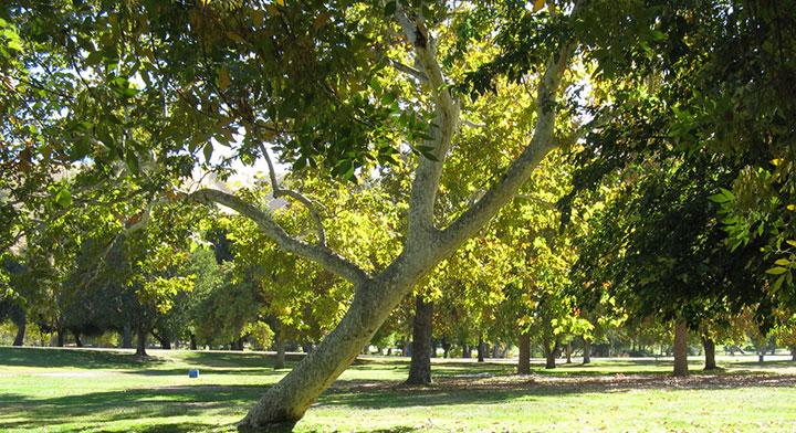 September 2024 Calendar for Hart Park - Nature Center